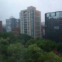 窓から見える風景