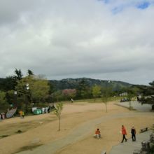 ちょっとした広場になっています