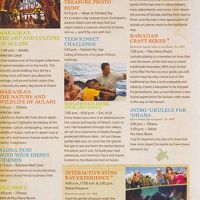 the daily 'IWA 12/29/2011版