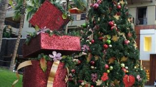 無料のフラショー