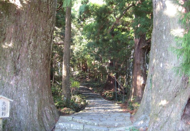 石畳と樹齢800年の夫婦杉