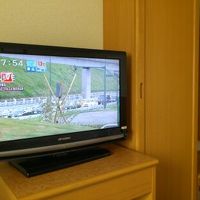 大きめのTVと右が扉付きクローゼット