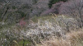 美しい里山の雰囲気を味わえる