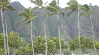 パワースポットクアロア