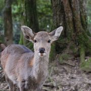 みるとこたくさん