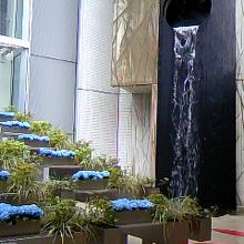 水が流れていて綺麗〜