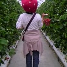 入口に被りモノが置いてあります。