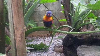 思った以上に楽しめた