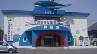 巨大なクジラがお出迎えしてくれます