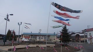 鯉のぼりが沢山泳いでいました