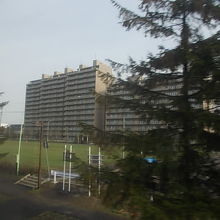 マンションなども多く林立しています