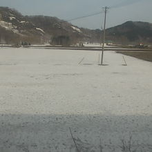 札幌近郊では雪解けが遅いエリアです