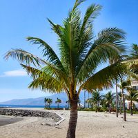 ホテルの前に広がる素晴らしいビーチ