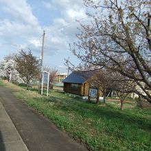 沿線の駅の近くには桜がいっぱい