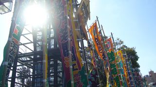 初めてみるのぼり