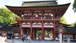 大きな敷地の境内は見所いっぱい！