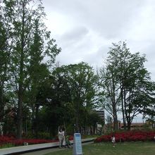 アウトレット内は緑がたくさんです。