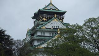 広くてきれいな公園です。