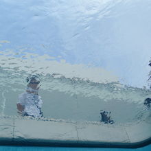 プールの中から上を見上げたもの