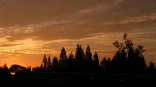 四季折々に美しい城下町の公園