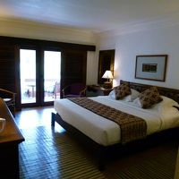 ガーデンビューです。目の前の椰子の木にリスや鳥が来てました。