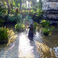 中庭は散歩にはもってこいの美しさです