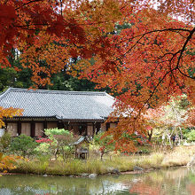 本堂も引き立つ