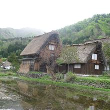 写真も朝早くなら撮りやすい