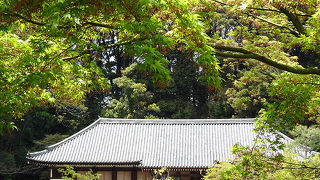 浄瑠璃寺の四季
