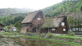 朝早く行くのがおすすめ