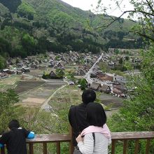 合掌造りの家並みがよく見える