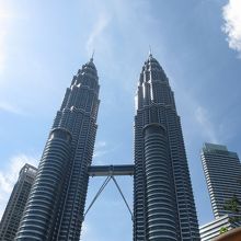 近いとカメラで撮りきれないです