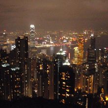 写真はうまく撮れませんでした。