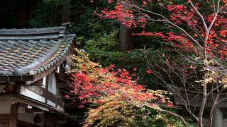 紅葉の季節にぜひ