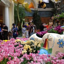 今年の春はオランダ風のチューリップ畑がテーマ