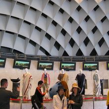 「はちたま」ドームの中