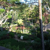 宿泊した部屋からの眺めるハイアットのガーデン