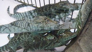 結構高低差があります