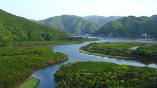 沖縄西表島に次ぐマングローブ林