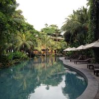 プールです。楽しかったです。