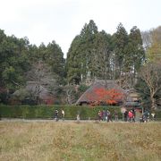 向井去来の別邸で松尾芭蕉が滞在して多くの名句を詠んだことで有名。