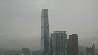 2名以上はカウンター購入で割引あり