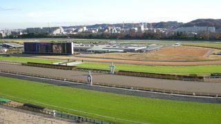 馬好きにおすすめ