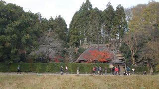 向井去来の別邸で松尾芭蕉が滞在して多くの名句を詠んだことで有名。
