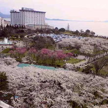 琵琶湖まで見渡せる絶景です。