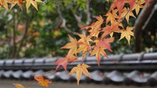 巨大な三門に圧倒されます