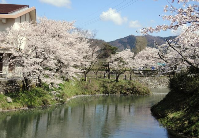 桜とお祭り