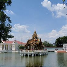 優雅で絵になります