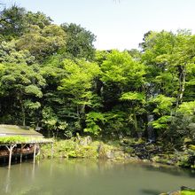 左側の茶屋で一服。抹茶＋和菓子で５５０円