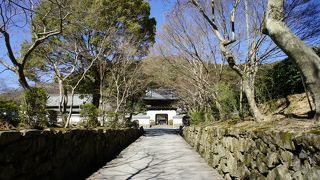 凛と張り詰めたような雰囲気